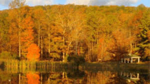 Pilgrimage of the Heart: Weekend Retreat